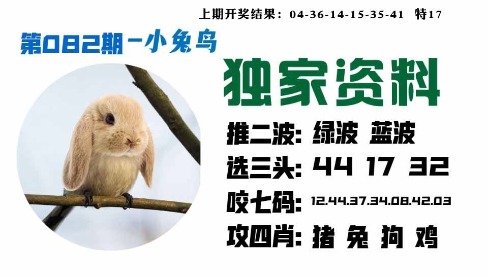 082期小兔鸟[图]