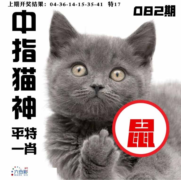 082期中指猫神[图]